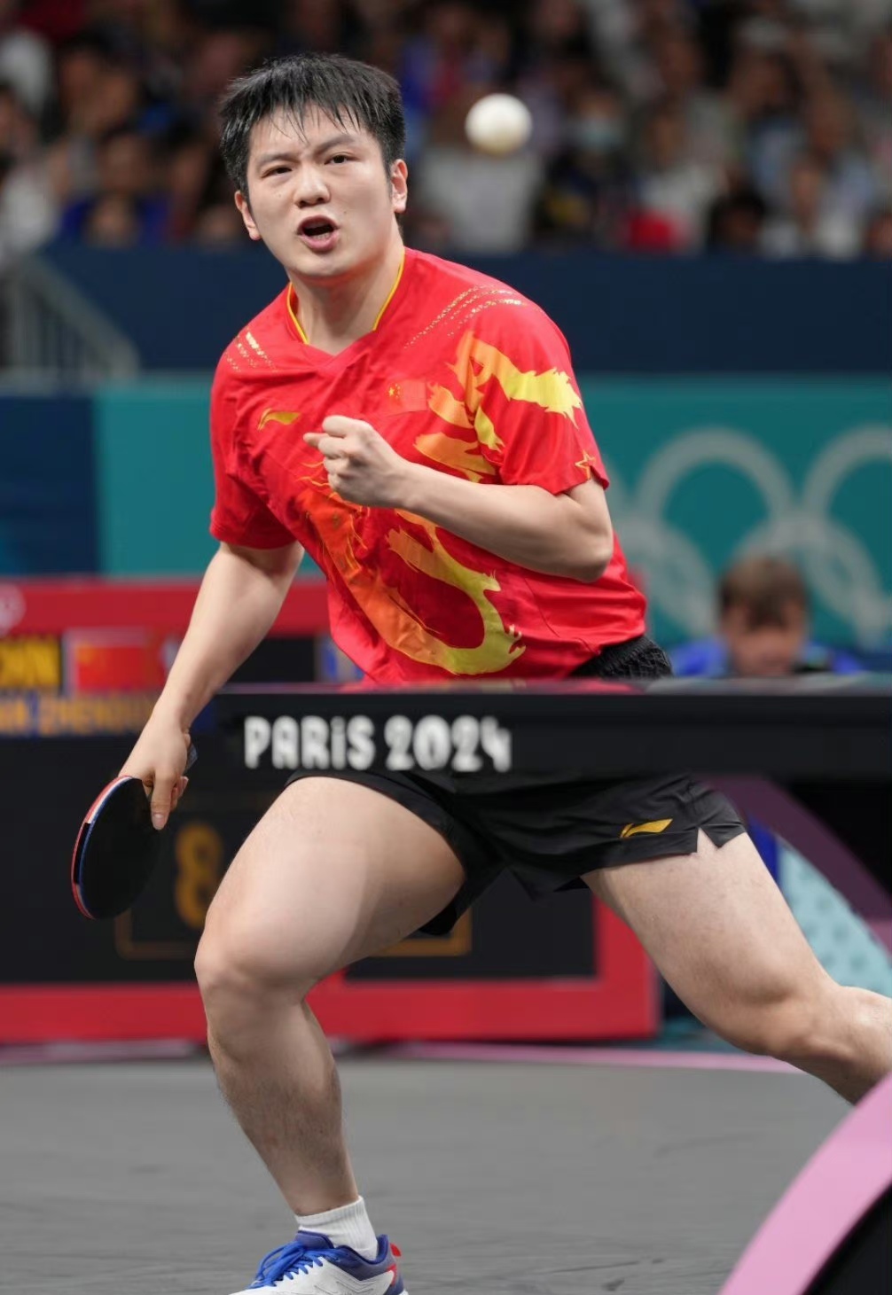 开云APP-奥地利乒乓球队强势比利时乒乓球队，波尔关键制胜