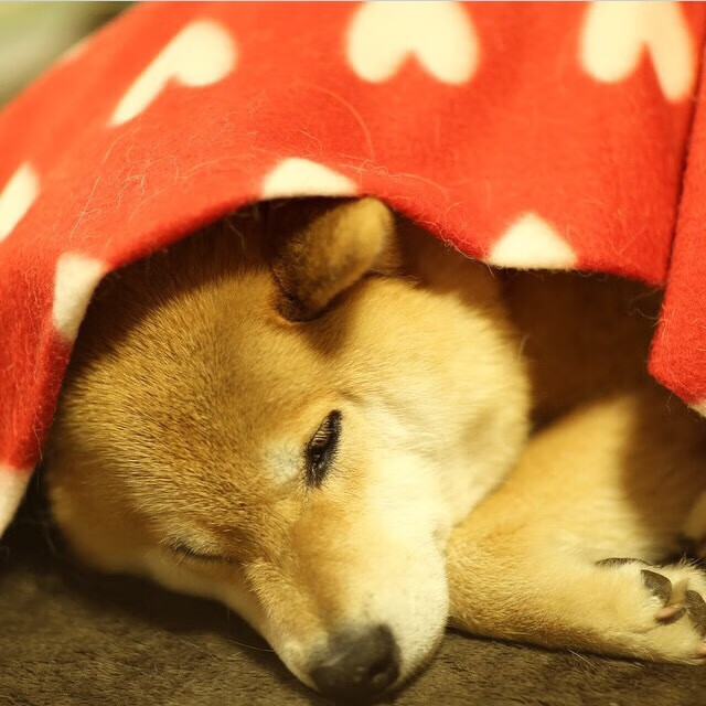 开云体育中国-从哈弗茨的爆发到委内瑞拉的碾压，足球世界的多元叙事